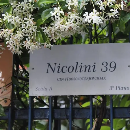 - Nicolini 39 * ナポリ