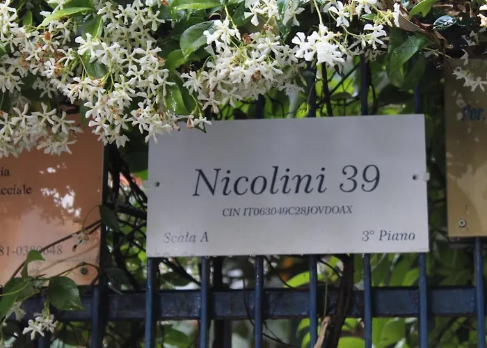 - Nicolini 39 * 나폴리